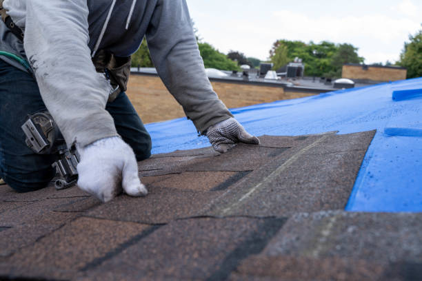 Roof Gutter Cleaning in East Syracuse, NY