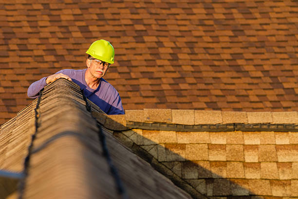 Roof Gutter Cleaning in East Syracuse, NY